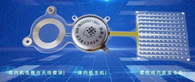 蔡磊回应未来准备尝试脑机接口 技术托付希望