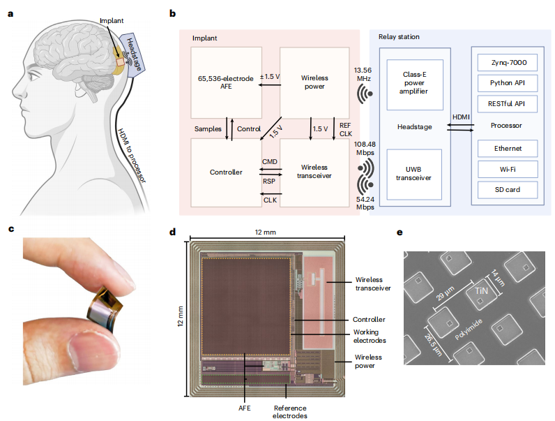 图丨BISC 植入体与可穿戴式转发器（来源：Nature Electronics）